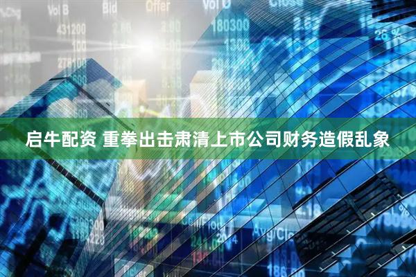 启牛配资 重拳出击肃清上市公司财务造假乱象