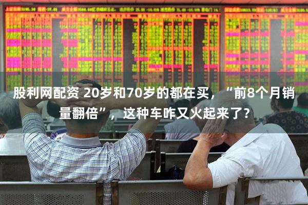 股利网配资 20岁和70岁的都在买，“前8个月销量翻倍”，这种车咋又火起来了？